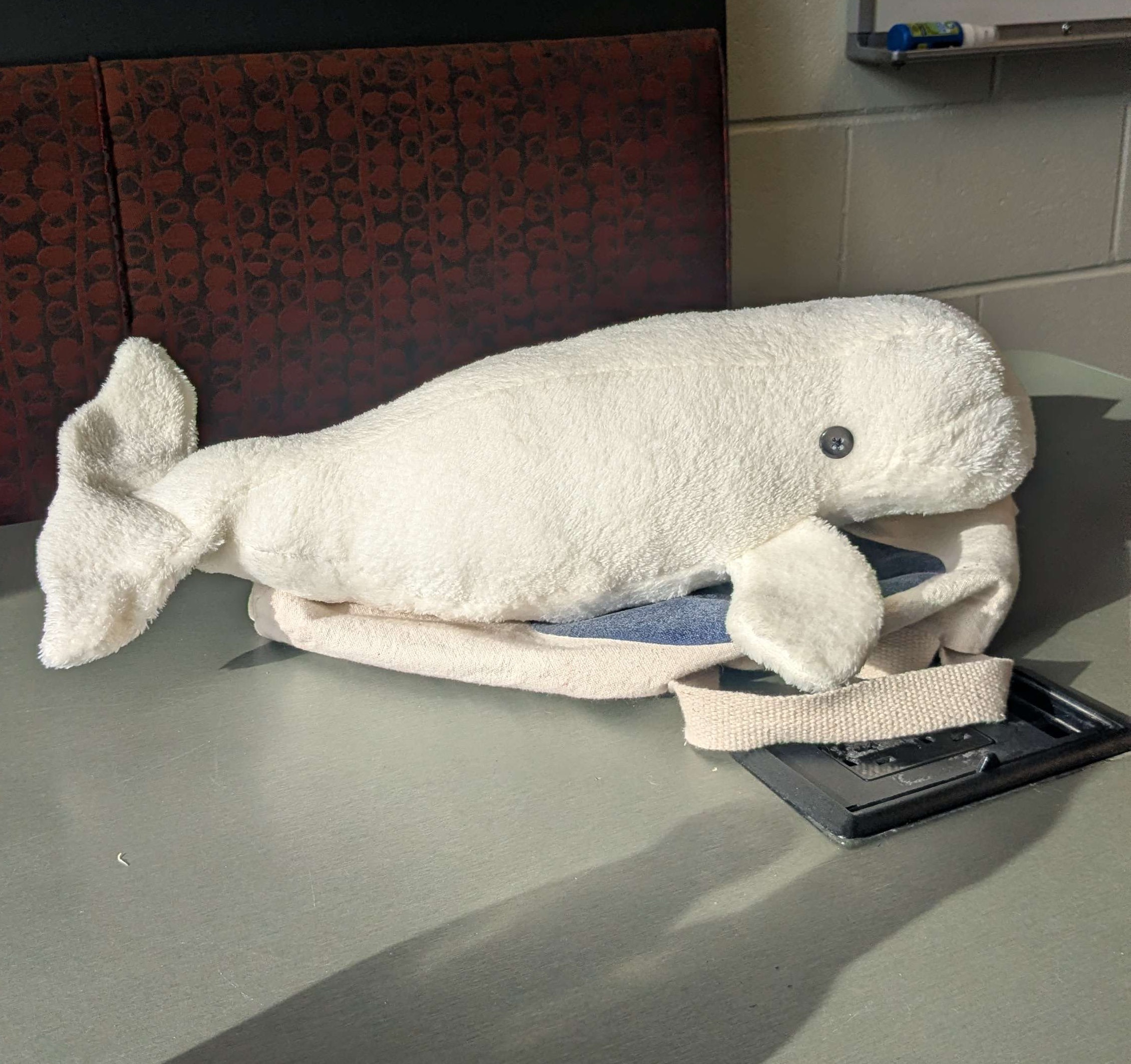 beluga plush