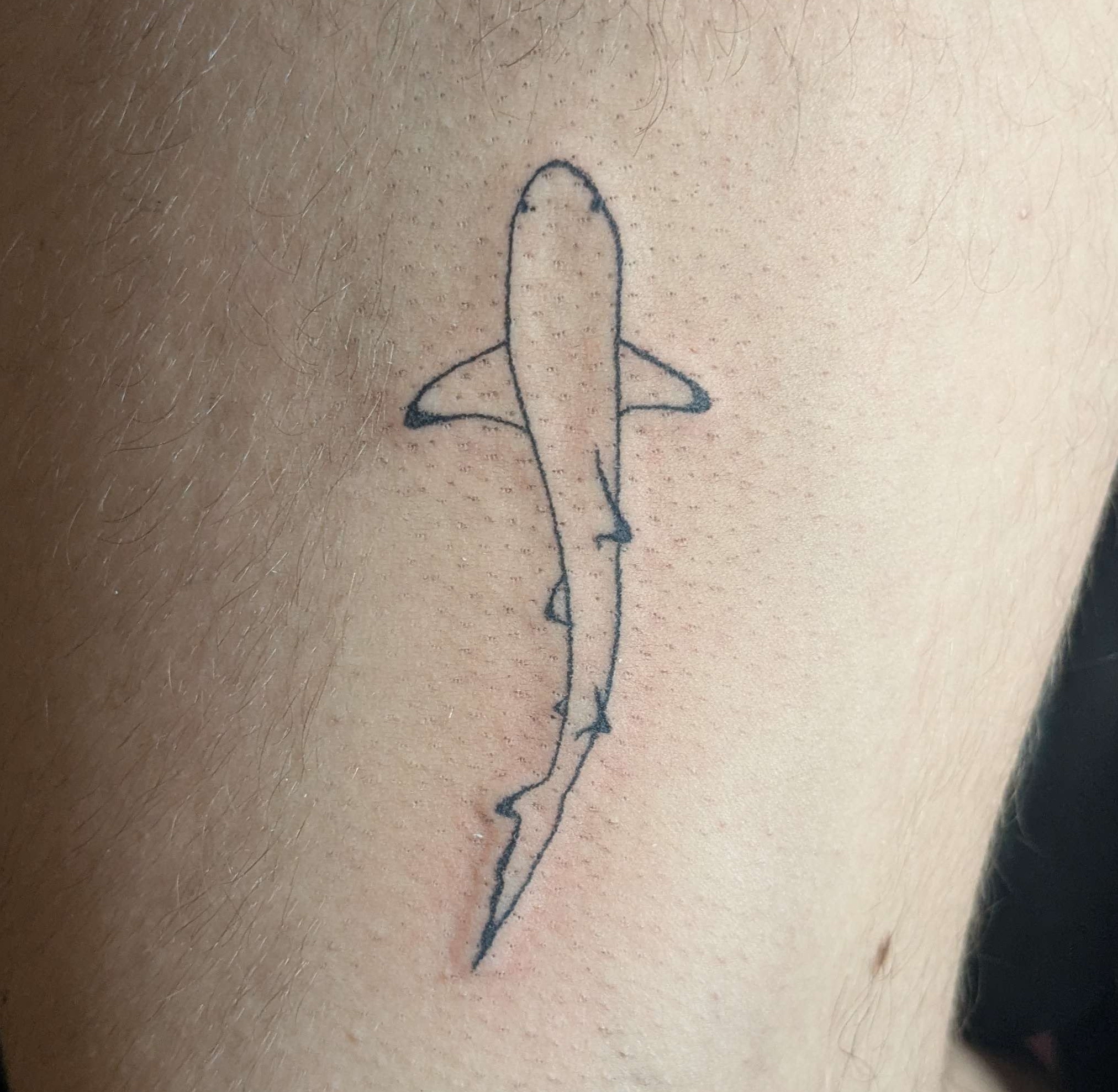 fineline tattoo of a shark