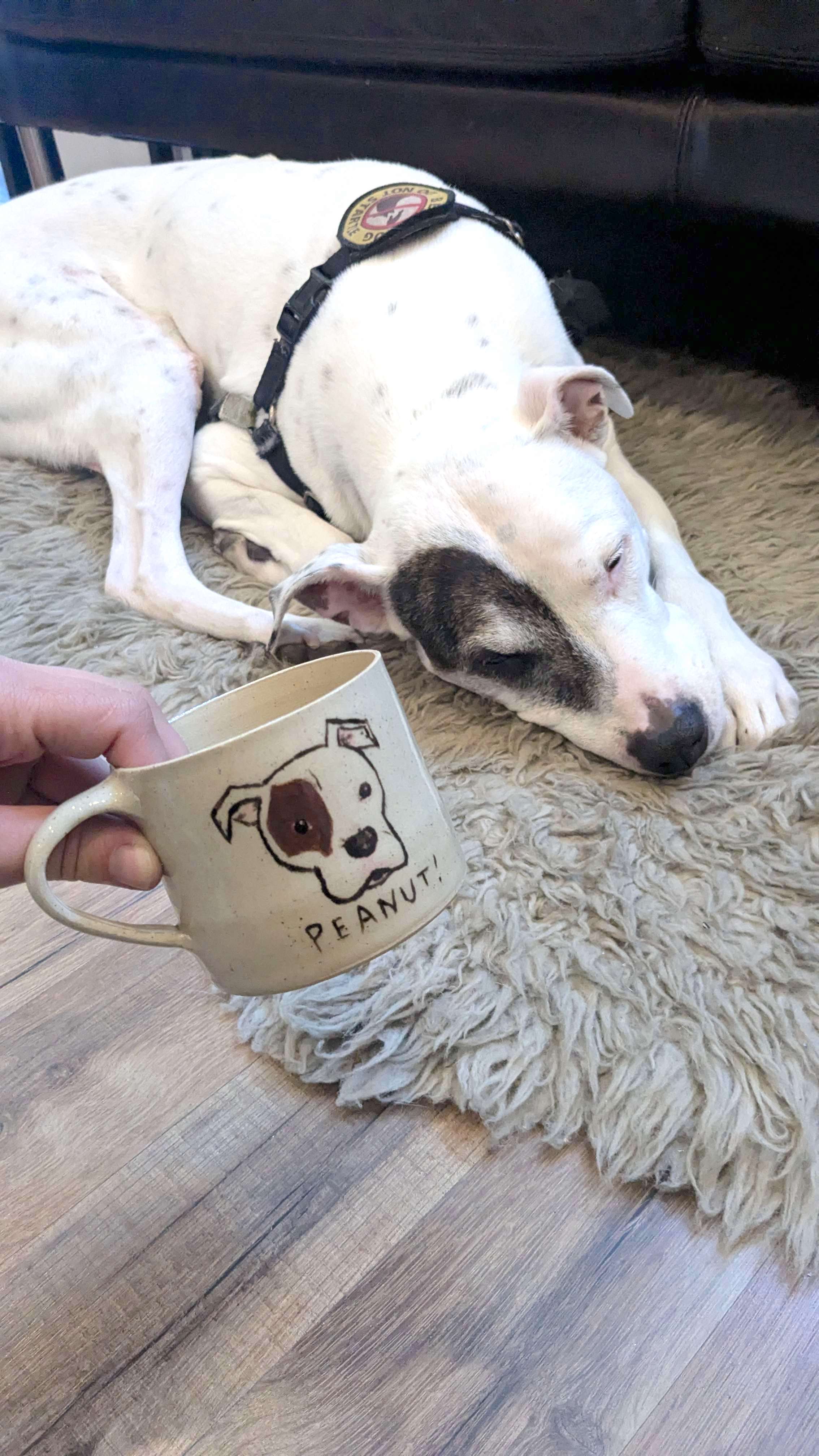 Mug with a dog on it, next to the dog it was based on